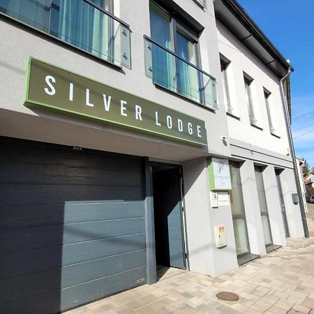 Silver Lodge Apartman Eger Eksteriør billede