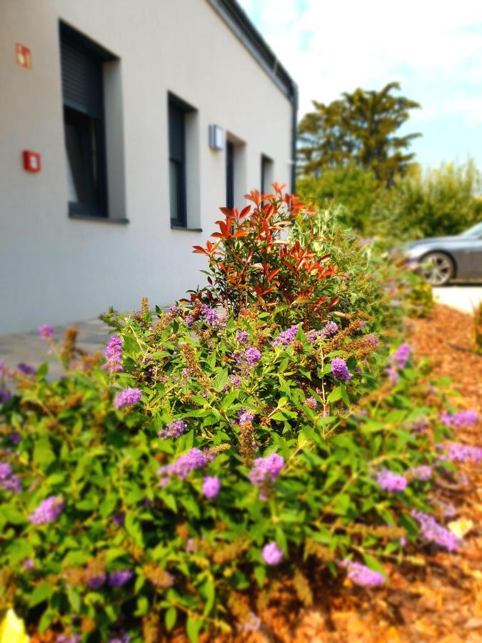 Silver Lodge Apartman Eger Eksteriør billede